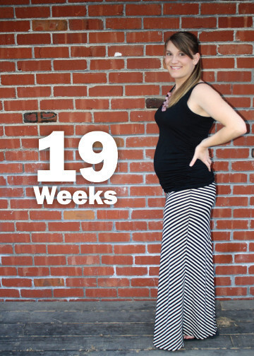 19-weeks