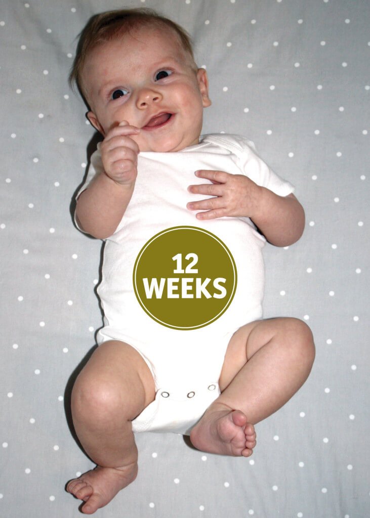 Leo_12weeks-01